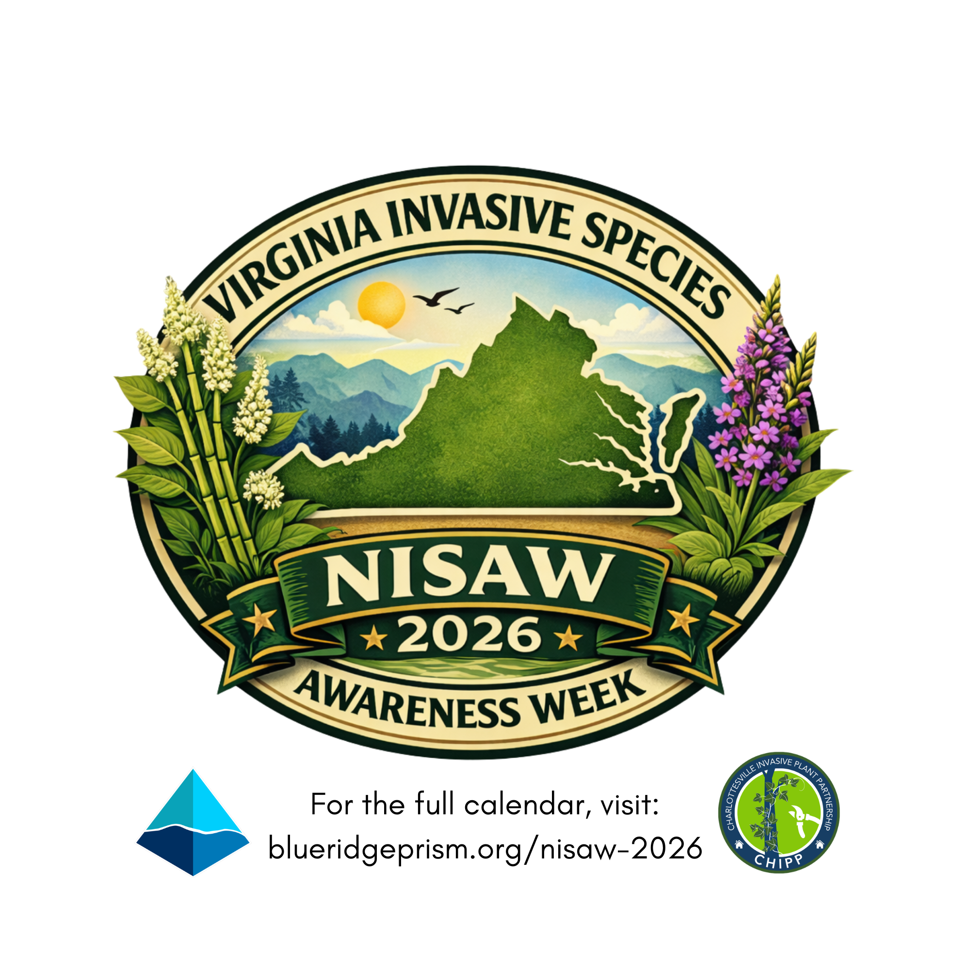 NISAW Press Release Image 2.2026