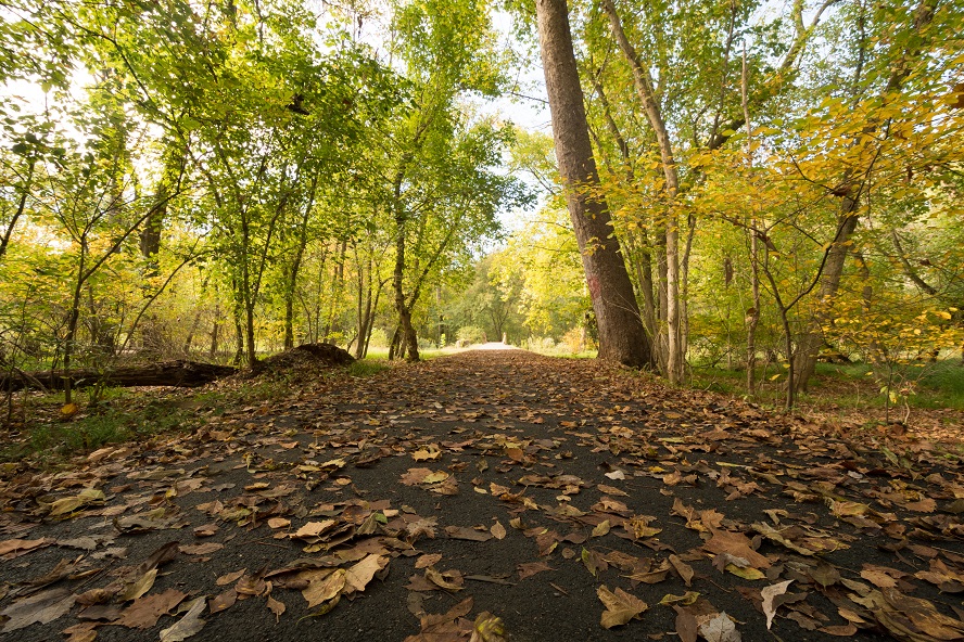 Greenbrier Park Trail