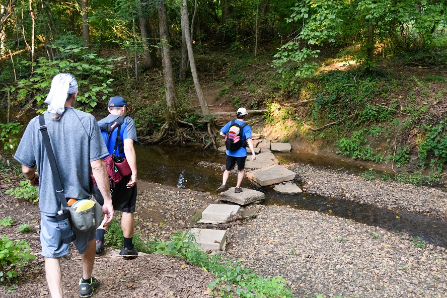 Meadow Creek Gardens