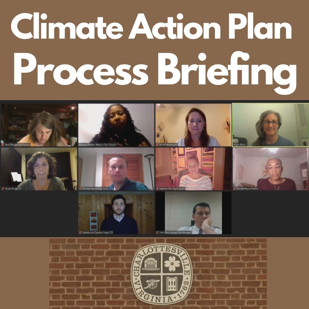 Image of virtual City Council Meeting, City logo, and text 