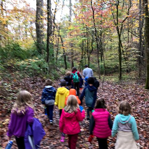 Kids Hike Heyward Community Forest