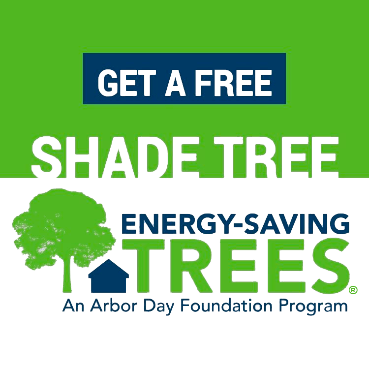 Energy-Saving Trees