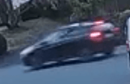 Cedar Hill Vehicle 4