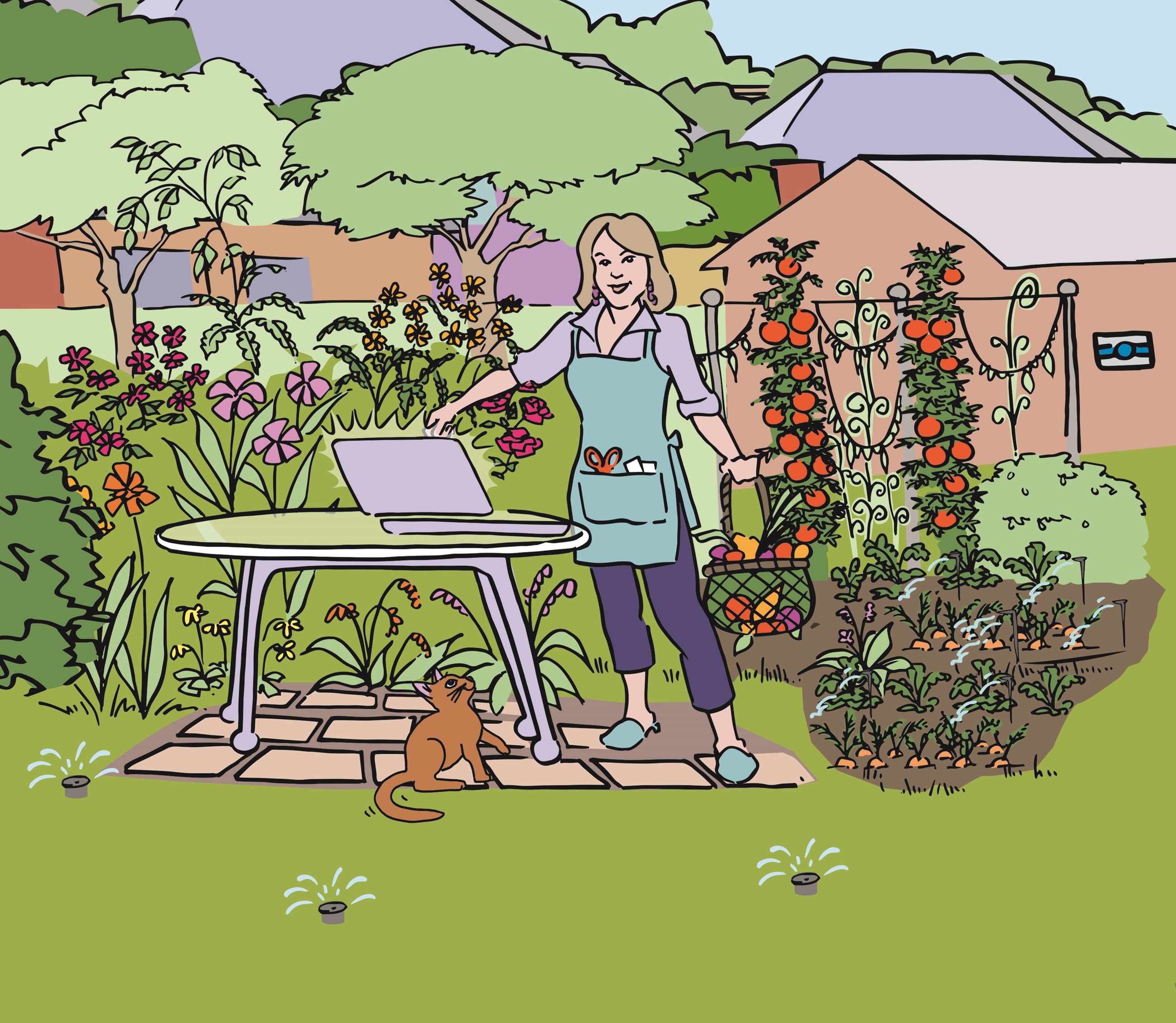 Backyard Beauty Landscape