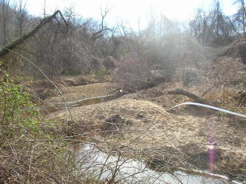 Degraded stretch of Meadow Creek
