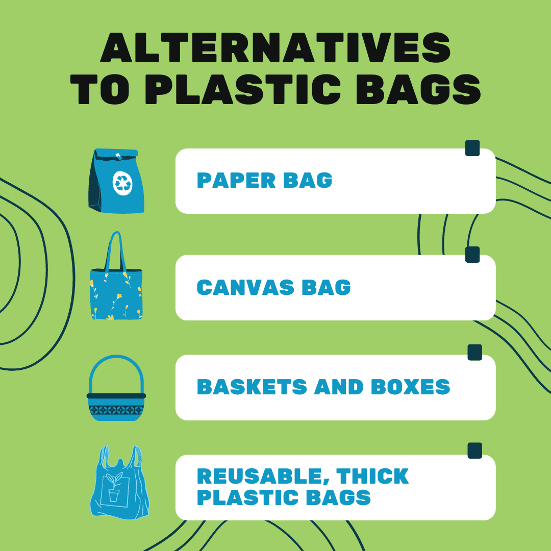 Plastic Bag Alternatives